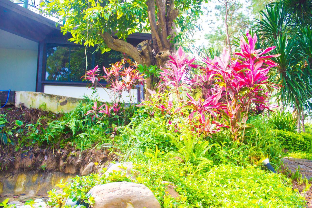 Bird Land Resort Khaukho Kültér fotó